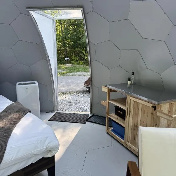 Rare Mirrored Glamping Dome, hotel in Severn
