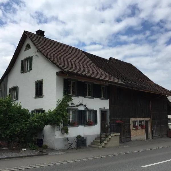 Viesnīca Airport Zürich Elwiras B & B pilsētā Lufingen