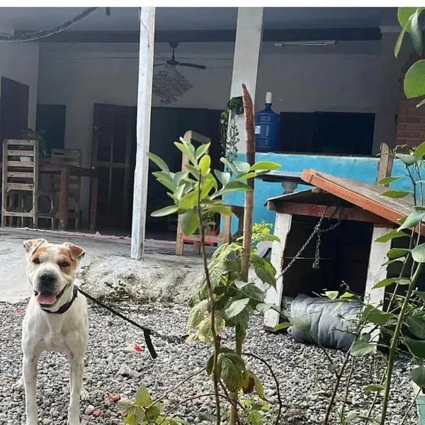 Casinha da Lolla, hotel in Guarujá