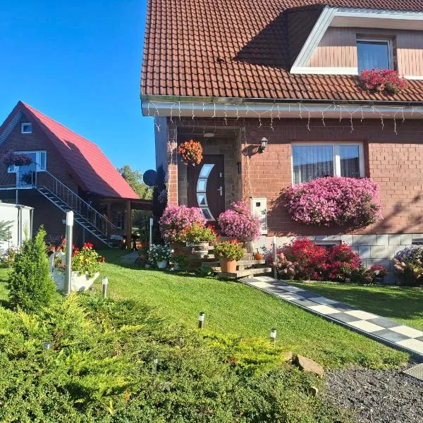 Domek nad Stawem, hotell sihtkohas Istebna