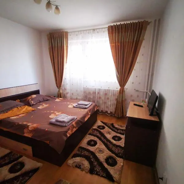 Ramona&Alin, hotel in Craiova