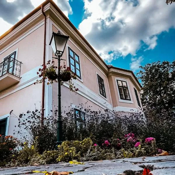 Kaštieľ Nána, hotel a Nána