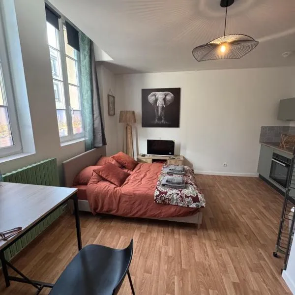 Studio Voyage - Proche centre ville, hotel in Mayenne