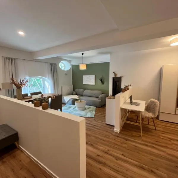 ANER 6 eleganter Loft mit Infrarotsauna in Dresden Weißer Hirsch, hotel din Dresda