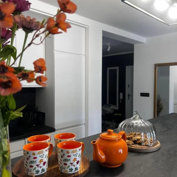 Apartament Ustrzyki Dolne "Dark-Wolf", khách sạn ở Ustrzyki Dolne