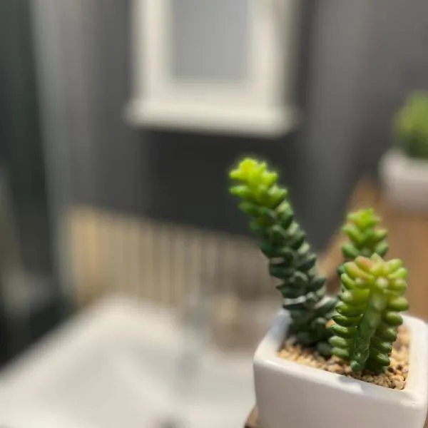 Cosy Home STUDIO, hotel em Croydon