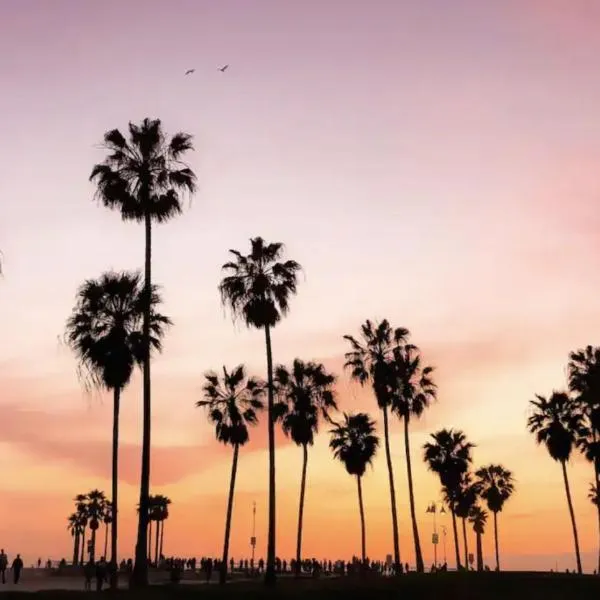 Grand Studio On The Promenade