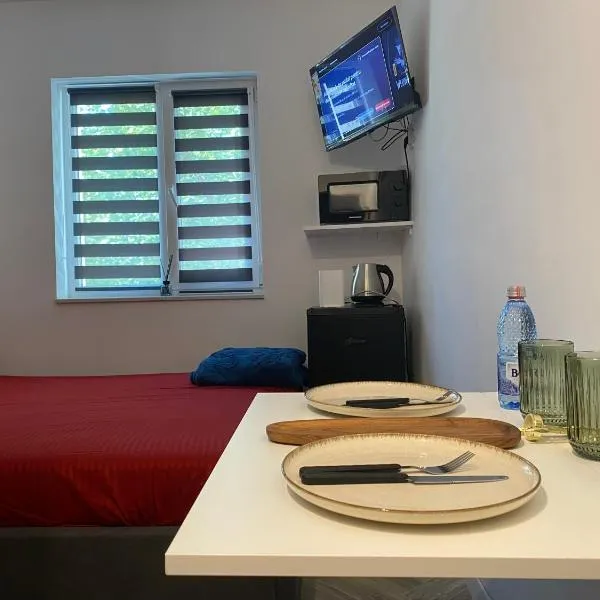Garsonieră stil hotel 2，位于斯拉蒂纳的酒店