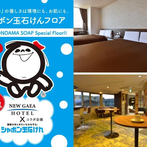 Hotel New Gaea Domemae, hotel in Fukuoka