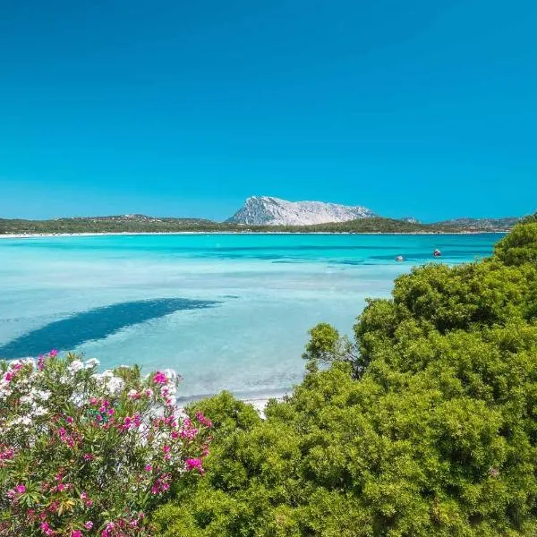 Dreams & Comfort San Teodoro, ξενοδοχείο σε San Teodoro