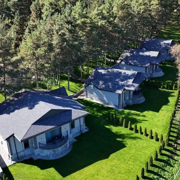 Hotel Dilijan Resort, hotel v destinaci Dilidžan