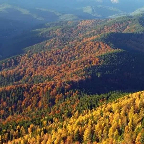 Teremok Guest House, hotel in Vyshka