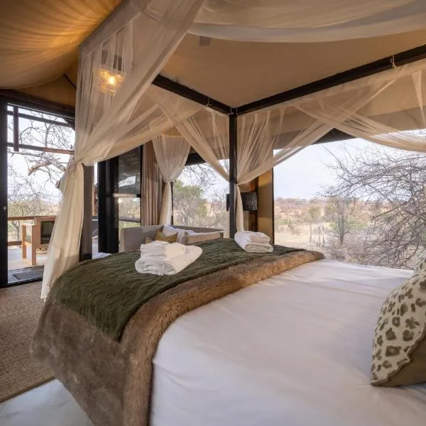 Sausage Tree Safari Camp, hotel in Balule Game Reserve