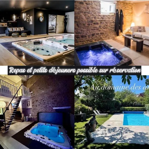 Au domaine des anges, 3 gîtes luxueux avec Jacuzzi privatif, sauna, mini-piscine, piscine extérieure chauffée en saison, hotel in Bain-de-Bretagne