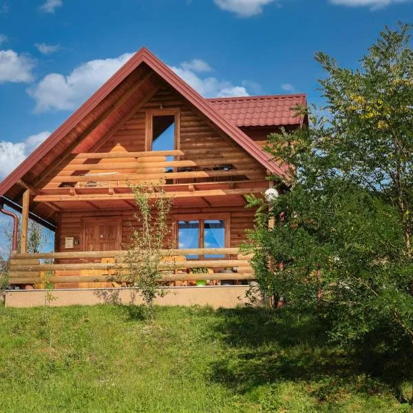 Brvnaria, hotel a Slatina Varoš