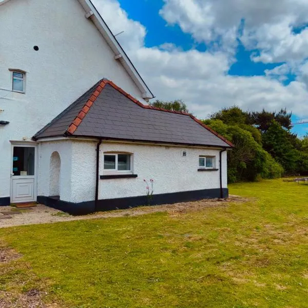 Celtic Springs Room with Garden, hotel in Newport