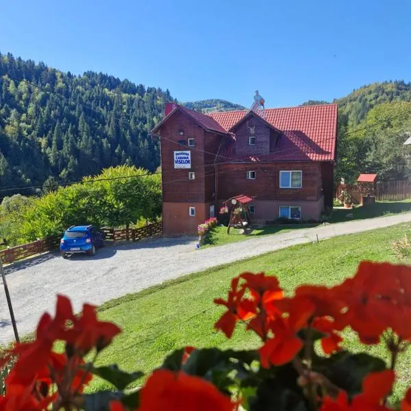 Pensiunea Cabana Viselor ,Apuseni, hotel in Vadu Moţilor