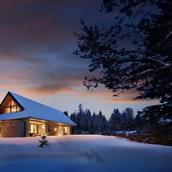 Chalet Mountain Rock - Luxury Retreat at Chalets Kvačianska Dolina, hotel in Zuberec