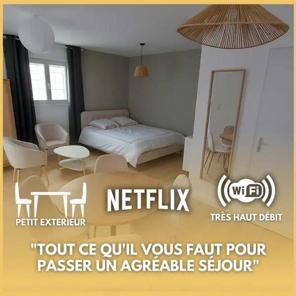 Studio - Calme - Confort - Proche de Tours, hotel in Monnaie