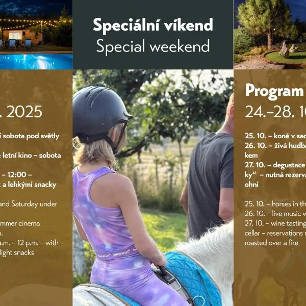 Amenity Penzion Horni Vestonice, hotel v destinaci Horní Věstonice
