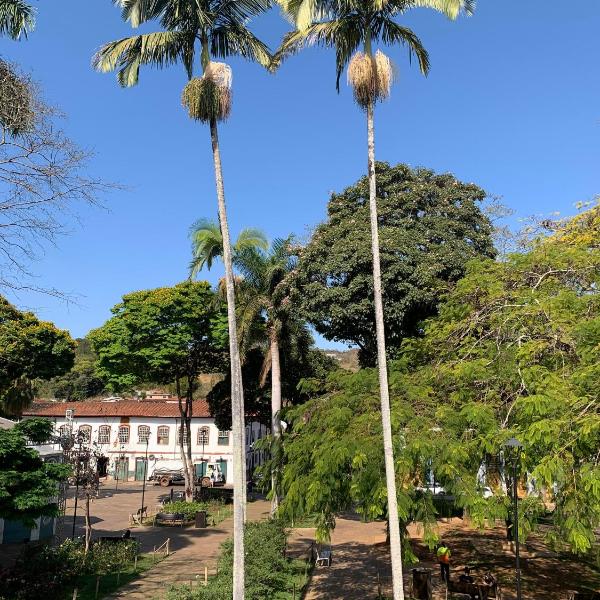 Rua D - Foto 4
