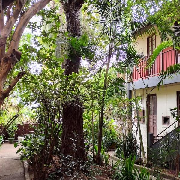 Casarão com amplo quintal, a paz ao lado do Centro