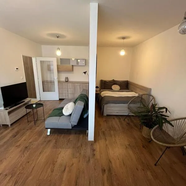 Apartmán Rose，位于皮耶什佳尼的酒店