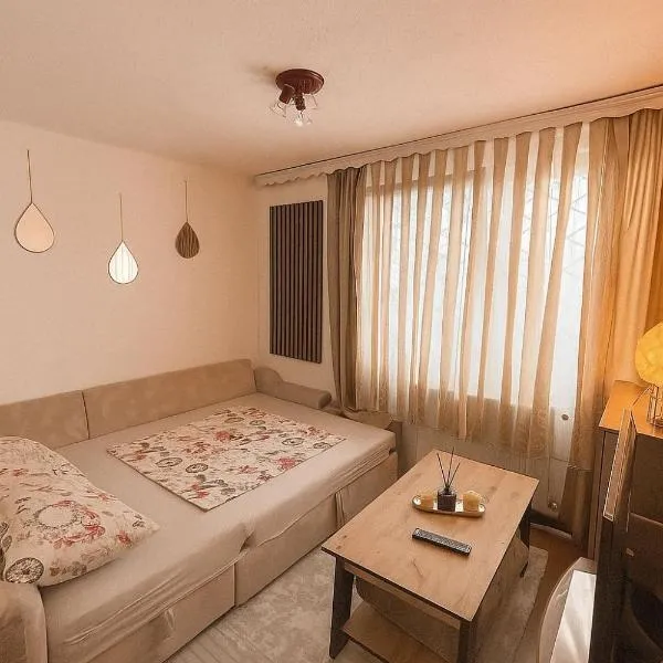 Apartman Rejjan, hotel v destinaci Zenica