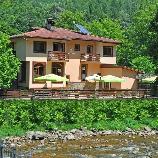 Family Hotel Fedora, hotel in Ribarica