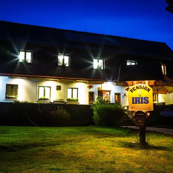 Penzion Iris Krkonoše, hotel v destinaci Horní Maršov