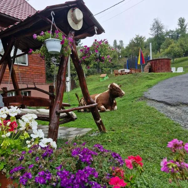 Pensiunea Cabana Viselor ,Apuseni, hotel in Vadu Moţilor