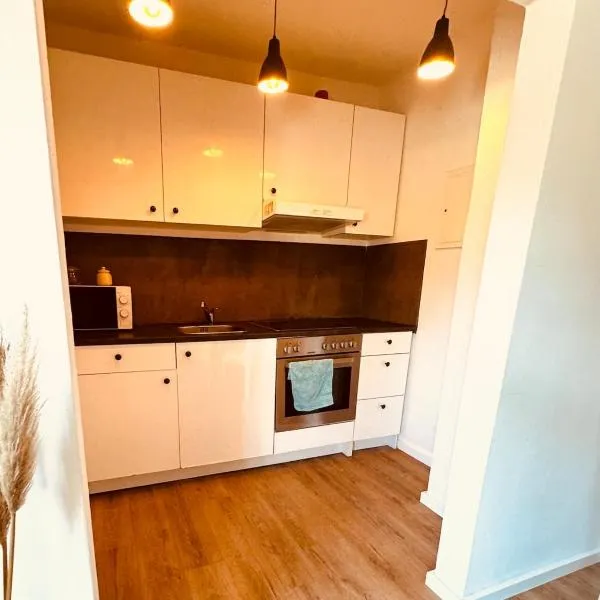 Charmantes Einzimmer-Apartment in zentraler Lage, hotelli Flensburgissa