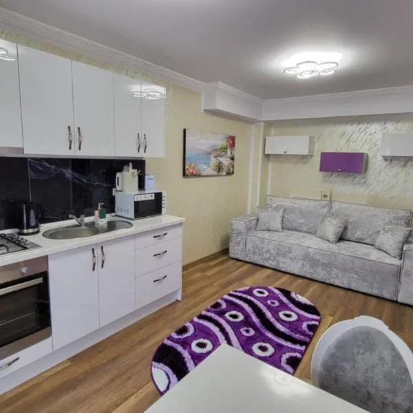 Aly Apartaments Suceava 2, hotel v mestu Suceava