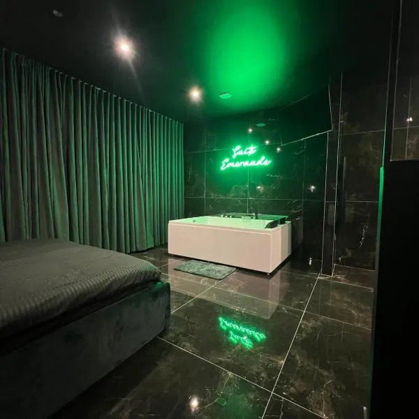 Suite Emeraude，位于圣艾蒂安的酒店