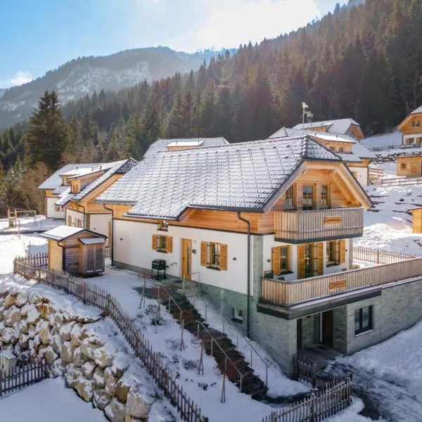 Apart Heidi, hotel u gradu 'Donnersbachwald'