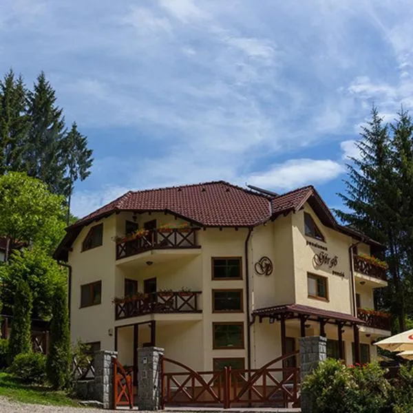 Pensiunea Görgő Panzió, hotel in Micloşoara