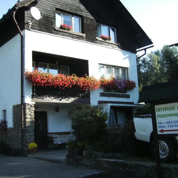 Ubytování Maxa, hotel in Špičák