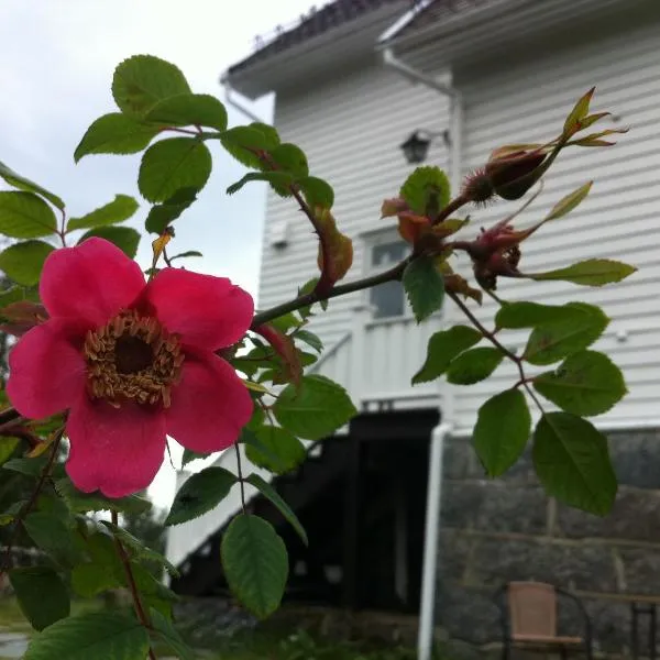 Arctic Garden, hotel en Langvåg