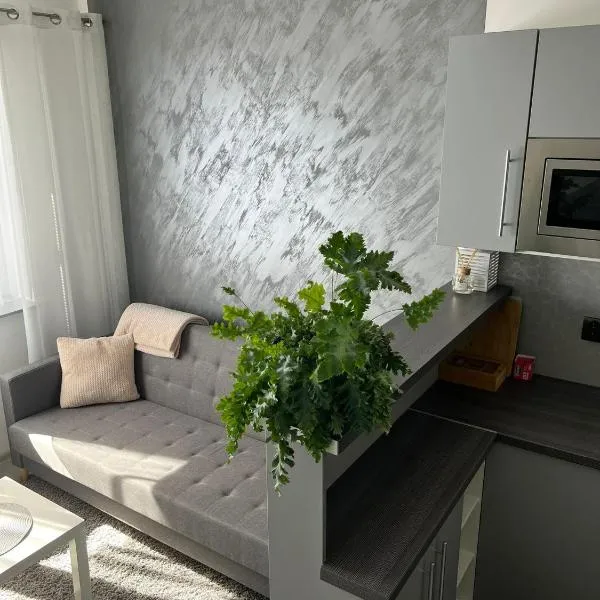 Luxusní apartmán v blízkosti centra města,Wifi, Netxlix, hotel in Hradec Králové
