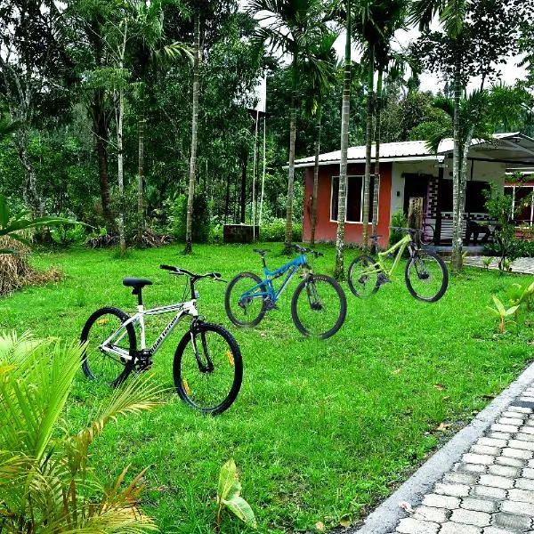 Rainy Cloud Homestay Private Cottages - 1KM Falls, Estate, Home Food, hotel in Chikmagalūr