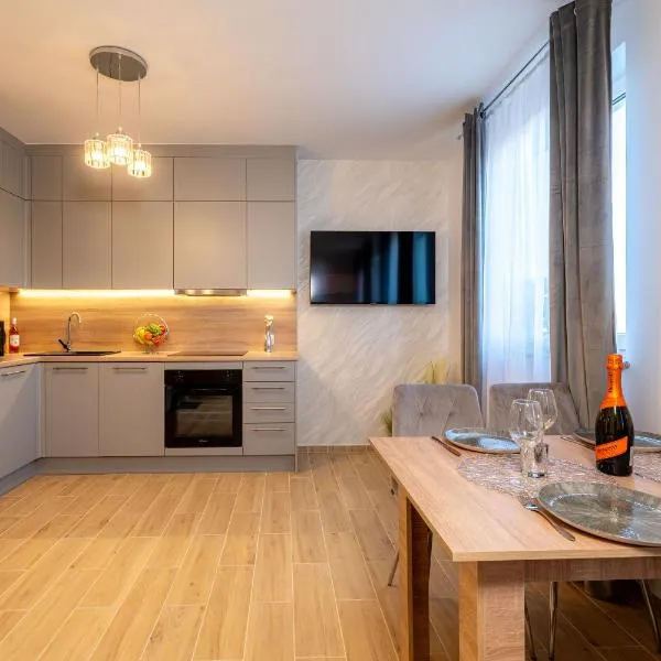 Gicek Apartament 11A bezpłatny PARKING Faktura VAT 4 osobowy ARENA K-S SSE, hotel in Gorzów Wielkopolski