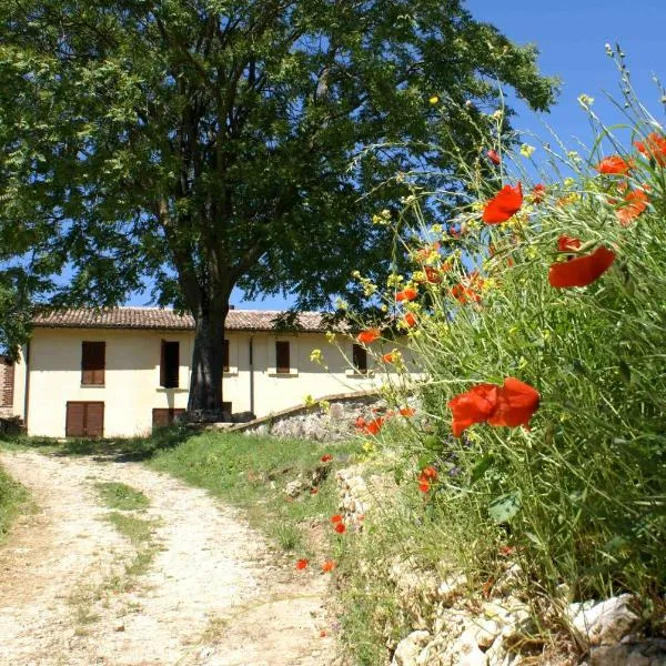 La Perticara Agriturismo, hôtel à Acquasparta