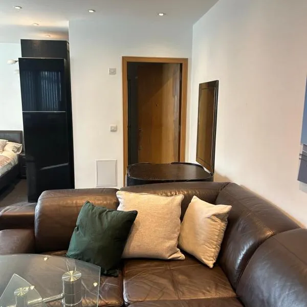 Studio flat in central Reading, ξενοδοχείο στο Ρέντινγκ