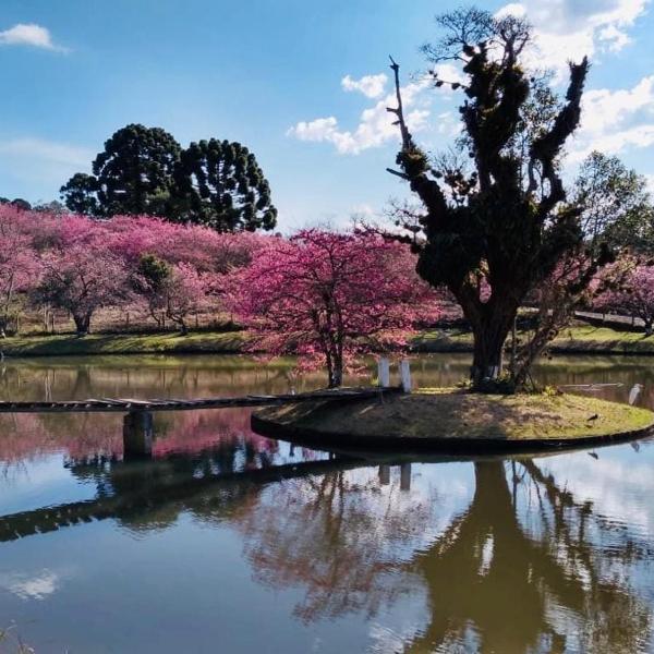 Natureza, paz no sítio