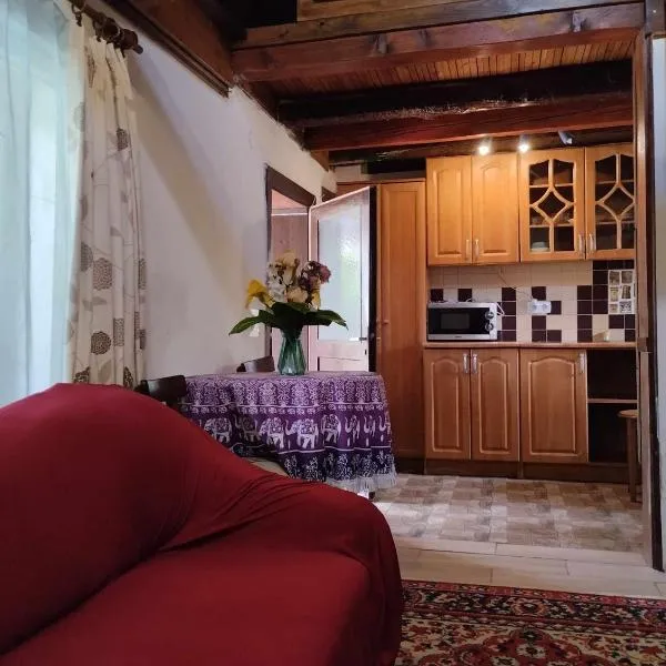 Садиба-студіо Під вишнею, hotel u gradu Astei