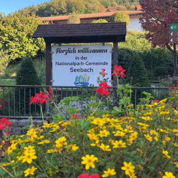 Bachnixe 1, hotel in Seebach