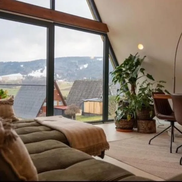 Alva Rhön Panorama Ferienhaus - Auszeit mit Kamin，Frankenheim的飯店