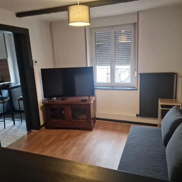 Appartement 45m2 à Florange, hotel in Florange