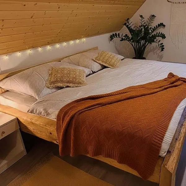 Apartmán u Ještěrky se saunou v ceně, Rejvízská 29, Jeseník, hotel in Jeseník