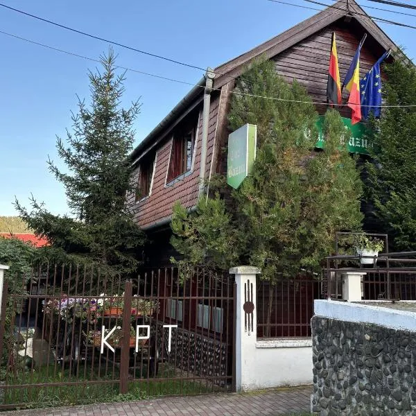 Casa Bazna, hotel in Bazna